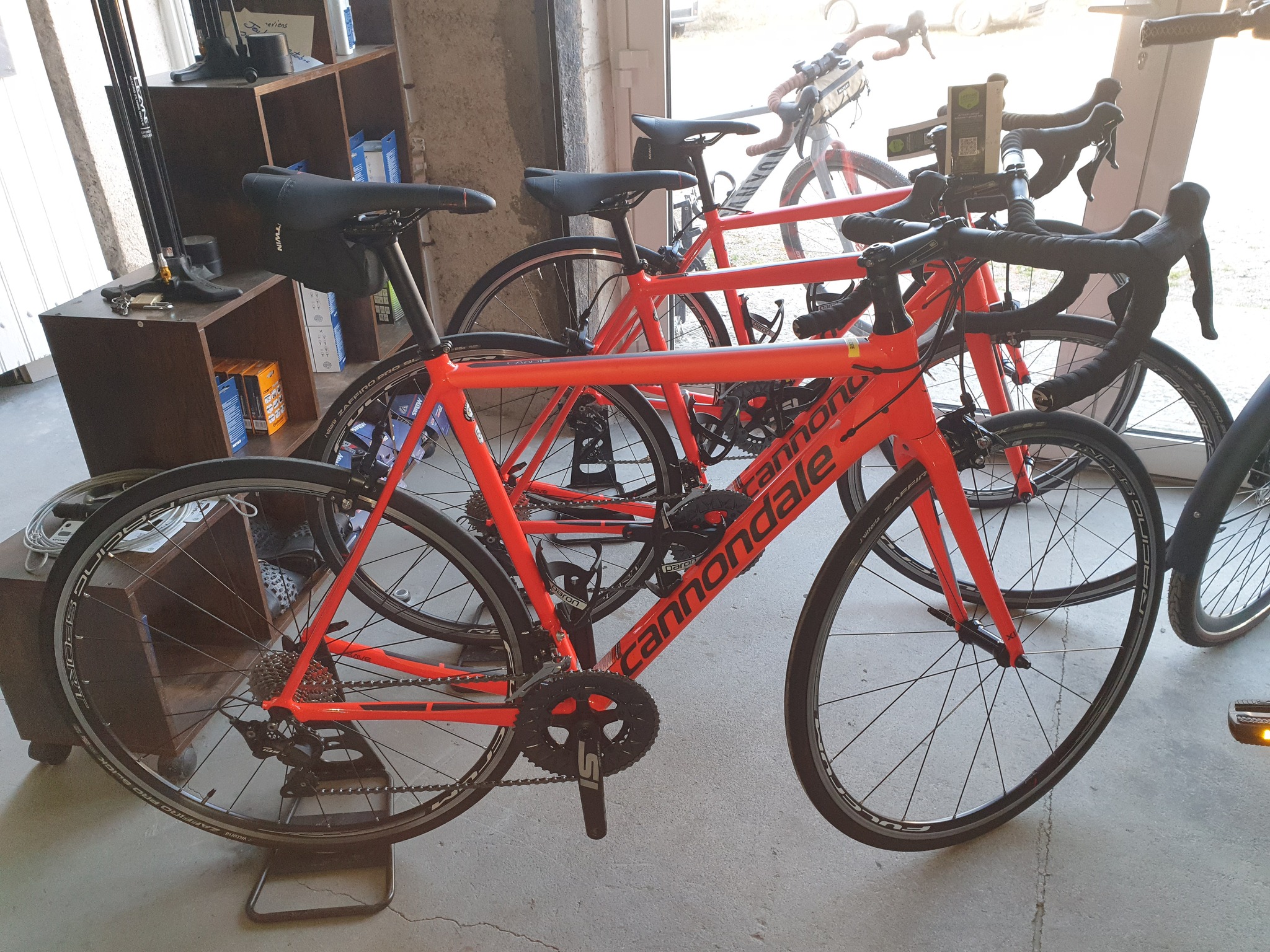 Vélos Cannondale rouges en exposition chez Bicicleta-Maurandy à lacaune-alban-brassac-81230 dans un espace lumineux,